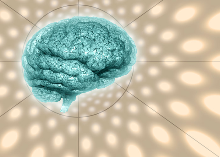 illustration of human brain on beige background - brain